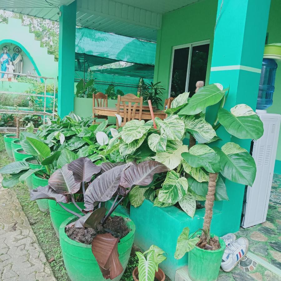 Barril Green Homestay Batuan Екстериор снимка