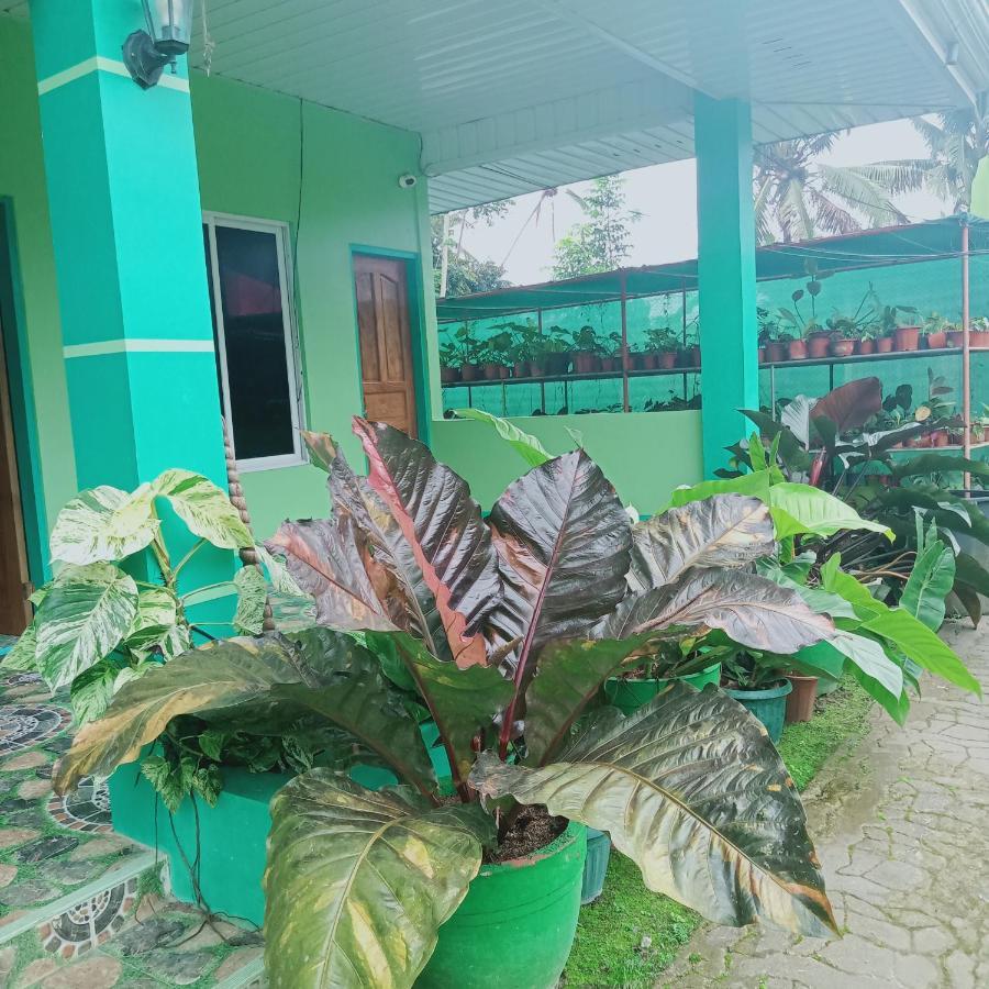 Barril Green Homestay Batuan Екстериор снимка